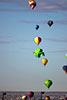 balloonfrog